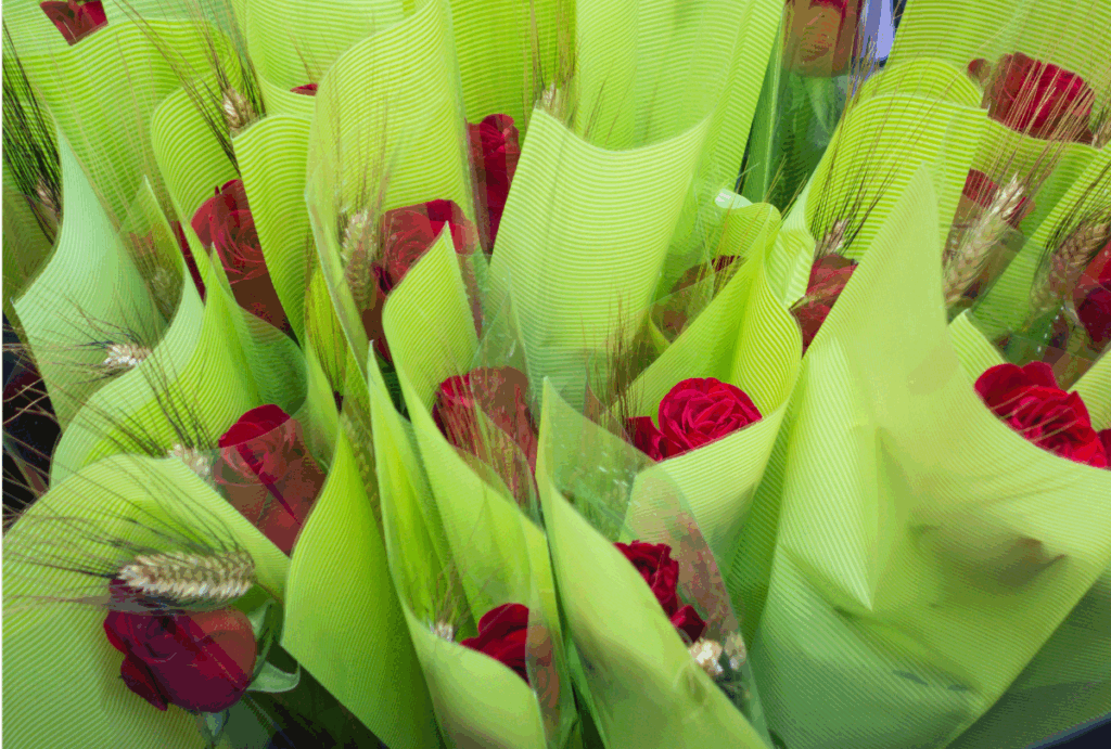 sant jordi